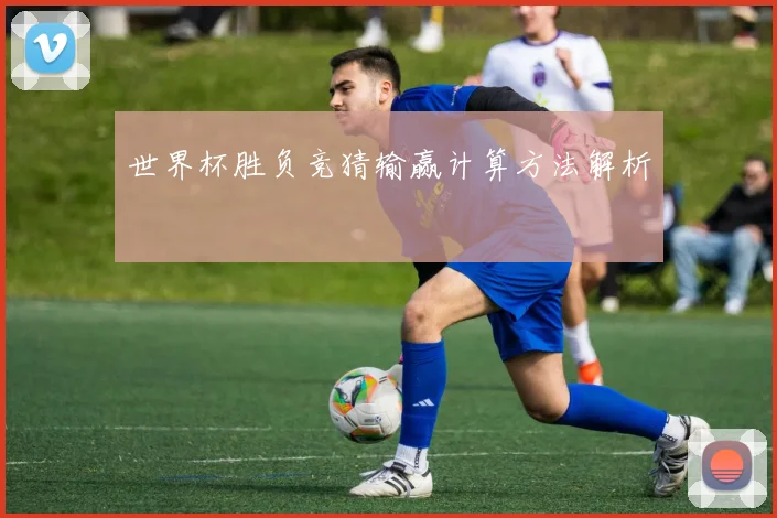 世界杯胜负竞猜输赢计算方法解析