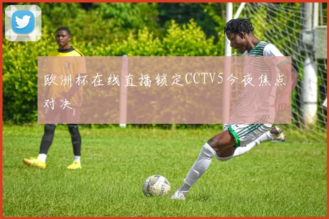欧洲杯在线直播锁定CCTV5今夜焦点对决