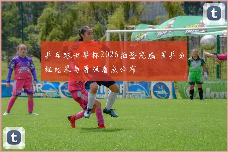 乒乓球世界杯2026抽签完成 国乒分组结果与晋级看点公布
