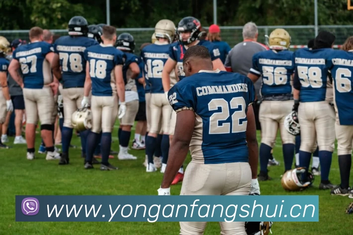 多媒体互动体验